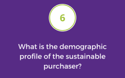 What is the demographic profile of the sustainable purchaser?