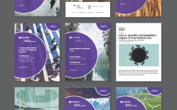 CSB Publications Image