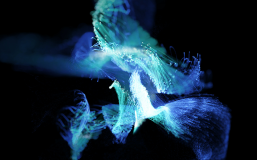 abstract blue wires
