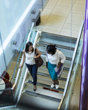 two women in business casual clothing descending an opaque staircase together
