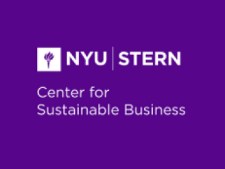 NYU Stern CSB Logo