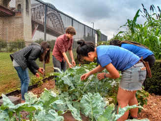 People planting in an urban garden