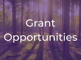 Photo for grant opportunities