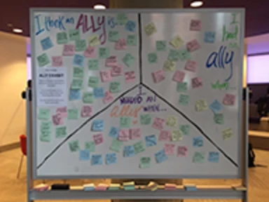 Ally Week Whiteboard