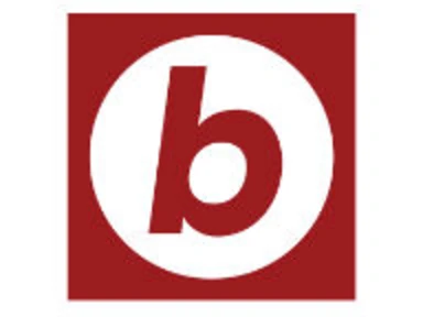 Boston.com logo