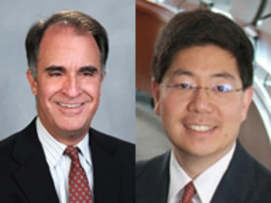David Yermack Stephen Choi