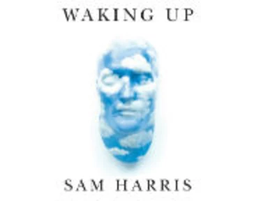 Waking Up with Sam Harris Logo 