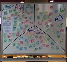 Ally Week Whiteboard