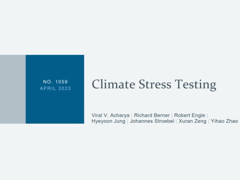 Climate Stress Testing 