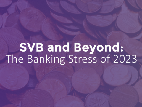 SVB and Beyond: The Banking Stress of 2023