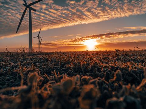 Three commercial wind turbines in thick fog at sunrise