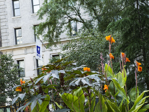 Washington Square Park in Spring