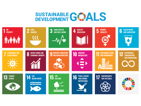 UN Sustainable Development Goal icons SDG Icons