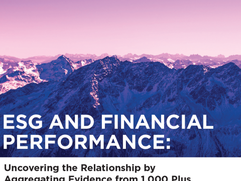 ESG and Financial Performance Report Cover