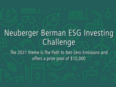 Neuberger Berman Logo