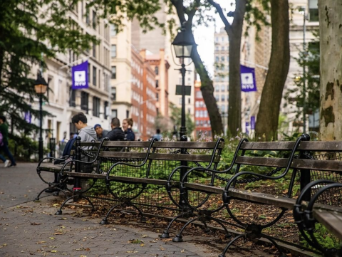 Park benches in Washington Square Park with NYU flags in the background