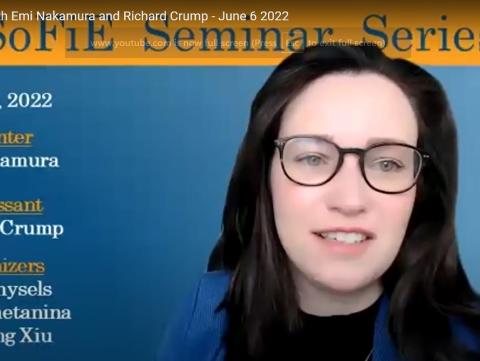 Image of SoFiE Zoom seminar screenshot