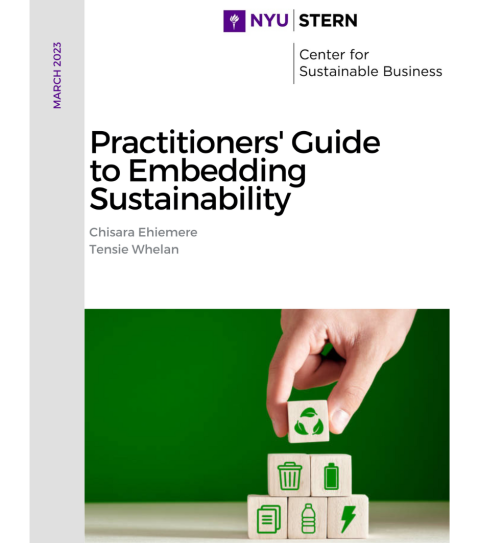 Embedded Sustainability guide