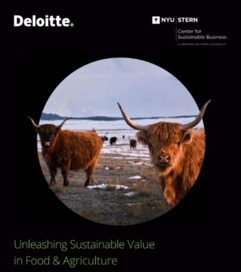 Deloitte cover page