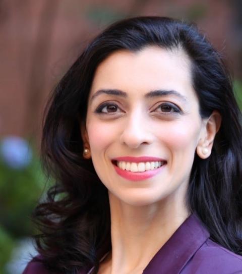 Snehi S Kapur