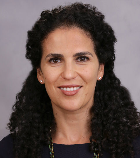 Amal Shehata, Academic Director, BS/MS in Accounting