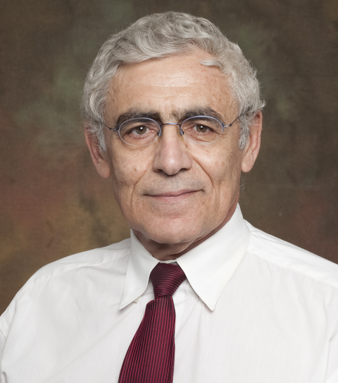 Menachem Brenner, Academic Director, Master of Science in Global Finance