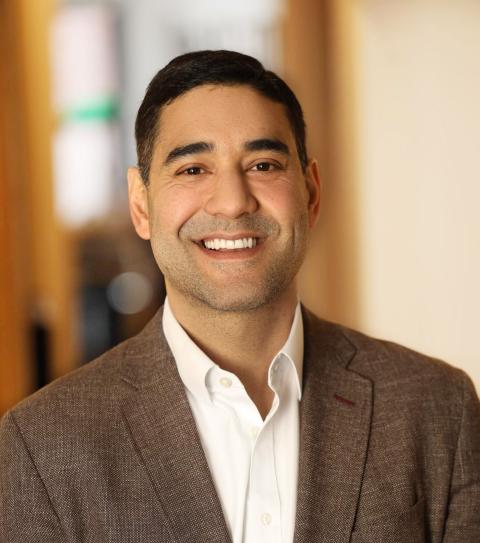 Professor Ashish Bhatia