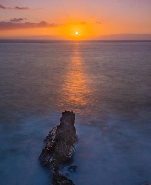 pic