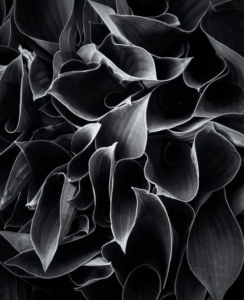 abstract background