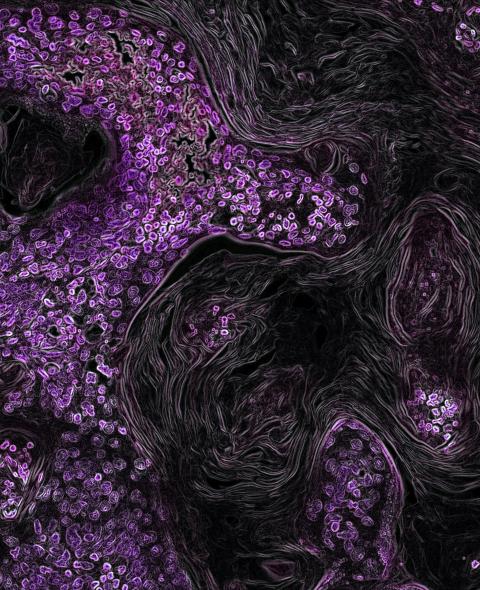 abstract background