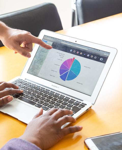 image of notebook computer displaying a pie chart, 1 person typing, another pointing at the screen.