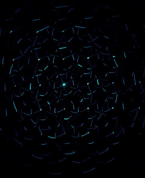 Light decorations in dark area