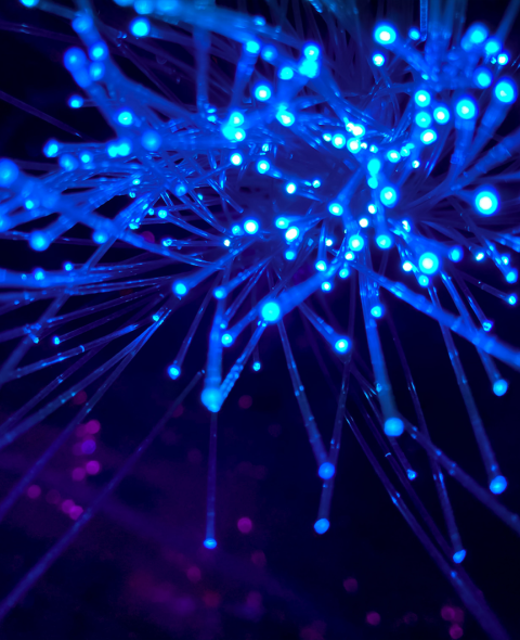 blue light fibers