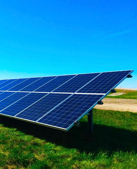 Solar panels in a field