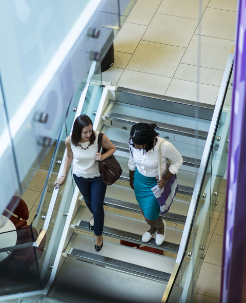 two women in business casual clothing descending an opaque staircase together