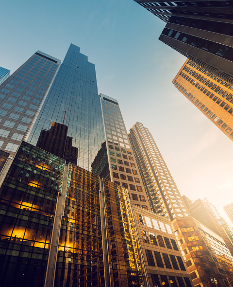 view of highrise buildings from street-level, with golden glow reflecting on buildings