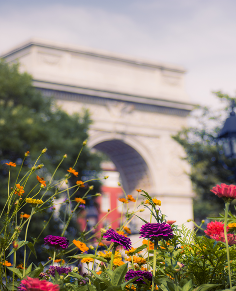 Washington Square Park Arch