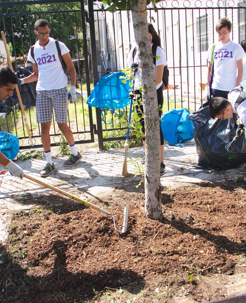 Stern students in service