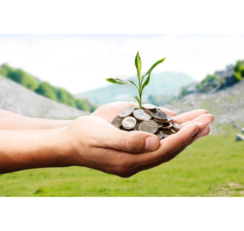 SRI Investing