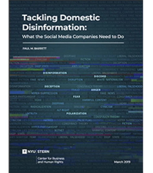 Tackling Domestic Disinformation