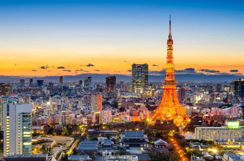 View of Tokyo city skyline at sunset