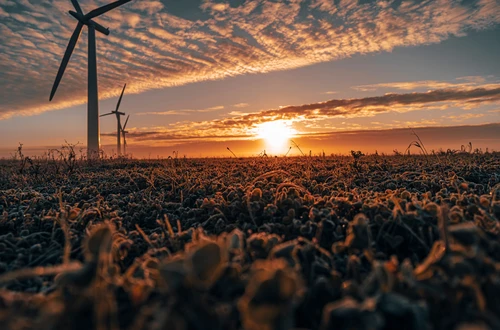 Three commercial wind turbines in thick fog at sunrise
