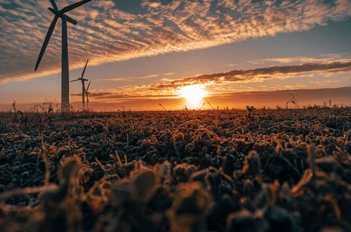Three commercial wind turbines in thick fog at sunrise