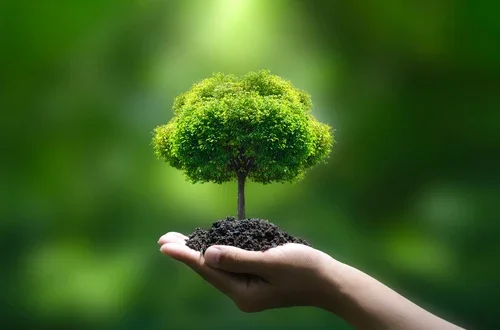 Green tree on hand green