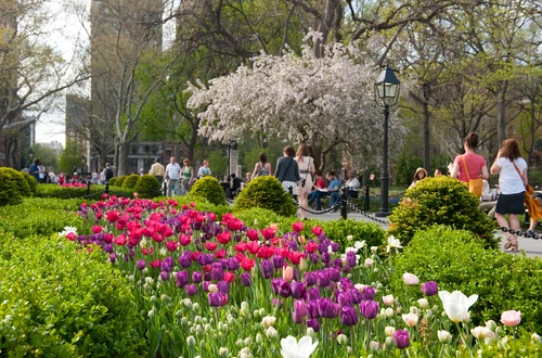 Washington Square Park