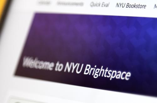 Brightspace landing page