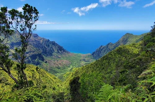 Image of Hawai'i with green mountains in the front and the ocean in the disance