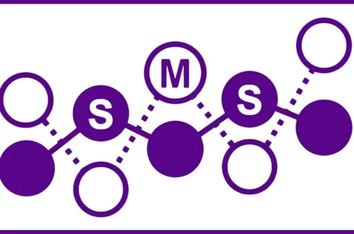  Stern Management & Strategy Club (SMS) logo