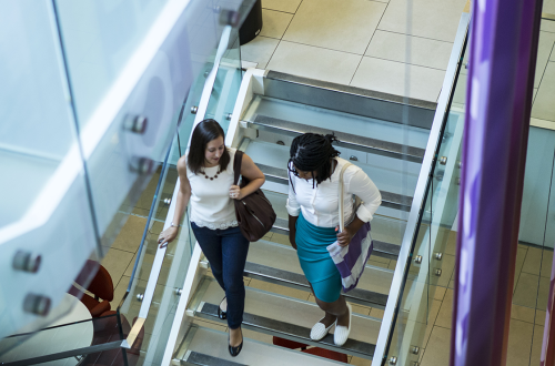 two women in business casual clothing descending an opaque staircase together