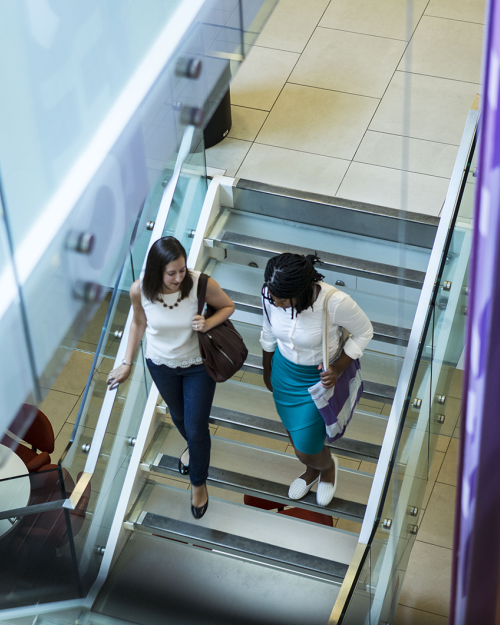 two women in business casual clothing descending an opaque staircase together
